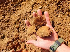 North Carolina Red clay/ dirt unsearched Aprox 5 Lbs picture