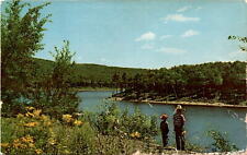 Alanson, Michigan, postcard, 3-D, natural color reproduction, charming  Postcard picture