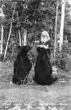 H32/ Harrison Michigan RPPC Postcard c40s Spikehorn Black Bear Den Feed 28 picture