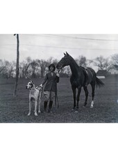 1932 Dorothy Forbes Equestrian Horse Harlequin Dane Dog Glass Negative OOAK picture