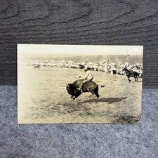 1935 Wheeler MT RPPC Buffalo Riding Rodeo Wild West Action Postcard picture