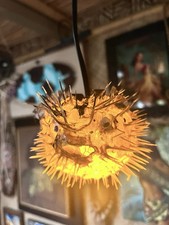 NEW 4”-5” Pufferfish Lamp w/Yellow LED Tiki bar Smokin Tikis Oceanic picture