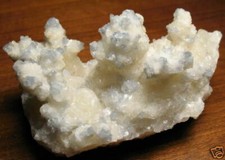 Large Beautiful Blue Celestine Crystals on Calcite Ex. Awald Collection picture