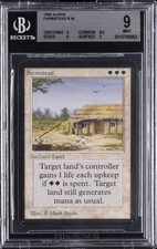 1993 ALPHA FARMSTEAD BGS 9 picture