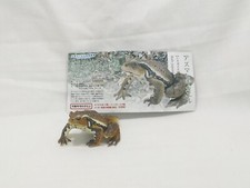 Yujin The Frog in Colour Mini Figure  Eastern Japanese Common Toad 2006 picture