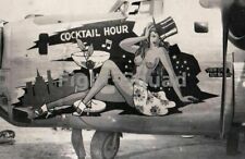WW2 Picture Photo Pin Up NOSE ART Photo B-24 Bomber 43rd Bomb Grp 64th Sqdn 2119 picture