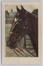 M Veit 1904 Dark Horse Head Bridle Artwork HKM Serie 295 Postcard picture