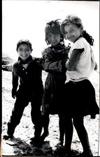 LG83 1970 Original Oversize Photo BEDOUIN CHILDREN NOMADIC CAMP NEGEV ISRAEL picture