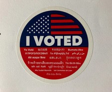 I Voted Sticker picture