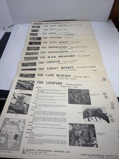 Complete Set 13 VTG 1969 Nature Study Prints No.2 East African Animals/Classroom picture