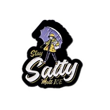 Stay Salty… Melt Ice Enamel Pin - Human Rights Protest Resist Abolish La Migra picture