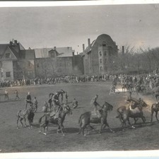 c1910s Northwestern University Circus Evanston IL Trick Rider Horse 6' Snapshot picture