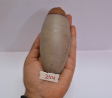 Holy Narmada Shiva Lingam Stone from India – Excellent & Pure Spiritual Stone picture