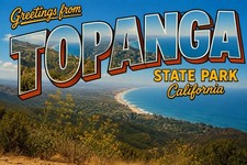 Greetings From Topanga State Park Los Angeles CA Modern Postcard 4x6 C970 picture