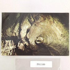 Thurston Lava Tube Hawaii 1960s Postcard HI Volcano National Park picture