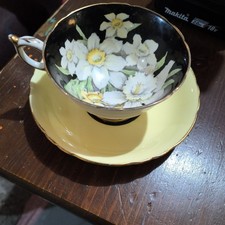 Vintage 1950s Paragon Teacup and Saucer Daffodil Black Inside Pastel Yellow picture