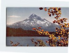 Postcard Mount Hood Oregon USA North America picture