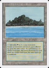 Tropical Island [Revised Edition] Heavily Played MTG picture