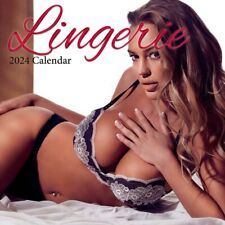 Lingerie 2024 12 Month Wall Calendar Brand New In Shrink-wrap picture