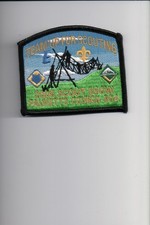 2006 Palmetto Council Scout Show Team Up For Scouting patch picture