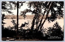 K60/ Harbor Point Springs Michigan RPPC Postcard c1940s View from Shore 235 picture