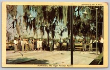 1955 Avon Park Florida Shuffleboard Kodachrome Postcard by Dexter Press E190 picture
