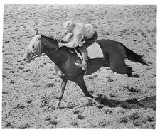 Nashua greatest money winning race horse of all time top jockey E- 1956 Photo picture