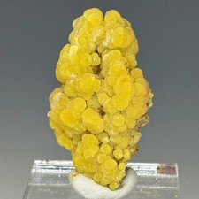 Mimetite, San Pedro Mine, Casas Grandes Municipality, Chihuahua, Mexico picture