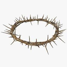Authentic Crown of Thorns- Real Life Size picture