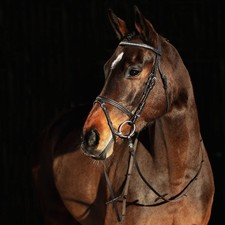 HORZE Weston Padded Leather Horse Snaffle Bridle with Flash Noseband, Brown picture