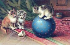 Three Cats And Ball Postcard - 1911 picture