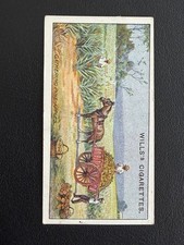Wills Overseas Dominion HO Tobacco Australia Card 1908 #42 Gathering Pine-Apples picture