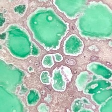 GS1249 1980's OLD STOCK Lucin variscite UTAH rough slab set 132.8 gram; lapidary picture