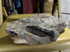Massive 10lb Black Tourmaline Schorl Crystals In Smoky Quartz Maine Locality 11” picture