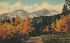 Postcard Long's Peak Vintage Linen Unposted 1930-1950 picture