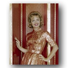Donna Reed Photo 8x10 1960s Actress Portrait Smiling In Gold Dress picture