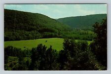 Forksville PA-Pennsylvania Loyalsock Valley Beautiful Aerial Vintage Postcard picture