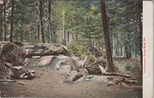 The Sanctuary Prouts Neck Maine 1907 Postcard picture