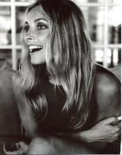 A Sharon Tate Smiling 4x6 Picture Celebrity Print picture