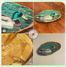 VTG Mallard Drake Duck Wood Slice Plaque Minocqua Wisconsin Cabin Art Sign Rare picture