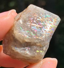 VERY RARE BEAUTIFUL FULL SPECTRUM RAINBOW LATTICE SUNSTONE POLISHED CRYSTAL *1 picture