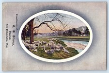 1910 New Philadelphia Ohio OH Vintage Postcard Stroup Florist Compliments Sheep picture