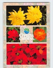 Cypress Gardens Florida USA G-64488 picture