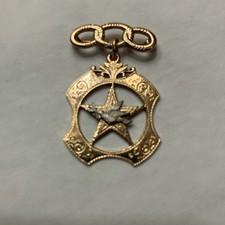 Vintage 1958 Daughters of Rebekah IOOF 10K Solid Gold Pin picture