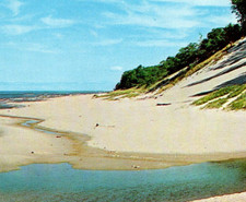 * VTG Chrome Postcard Lake Michigan Shoreline MI picture