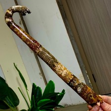 373g Natural crystal elephant trunkTentacle Ammonite Specimen Repaired Healing picture