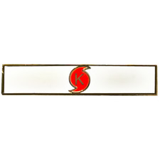 Hurricane Katrina Operation Recovery Unit Citation Commendation Bar Pin Police C picture