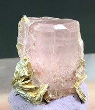 15 CT Beautiful Fluorescent Pink Apatite Crystal With Muscuvite From Nagar Pak picture