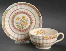 Spode Buttercup Cup & Saucer 5920534 picture
