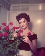 British-born actor Elizabeth Taylor arranging a bouquet red roses 1953 Old Photo picture